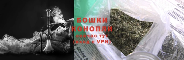 сатива Армянск