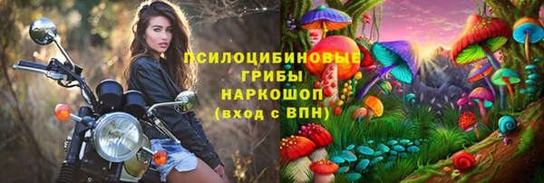 спиды Пересвет