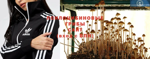 шишки Осташков