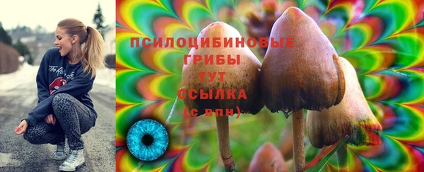 мет Аркадак
