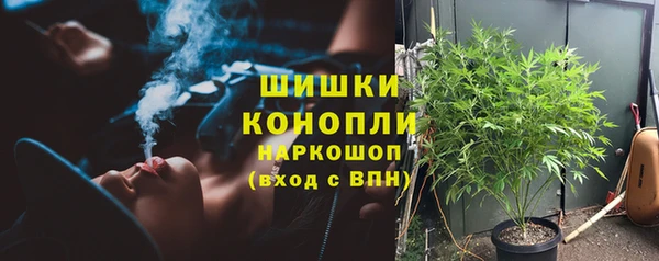 дурь Арсеньев