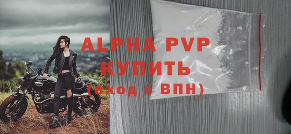 шишки Осташков